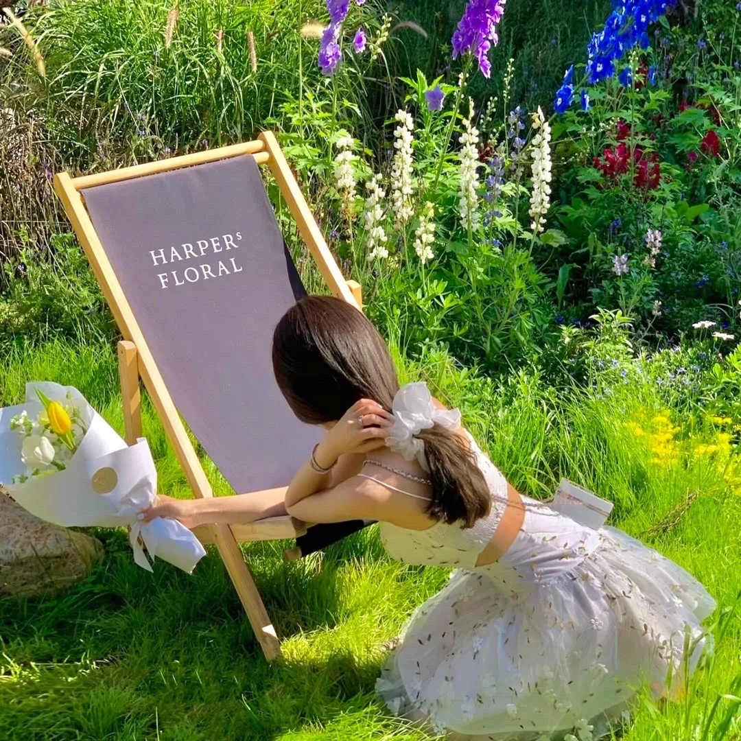 巅峰拍档第五季