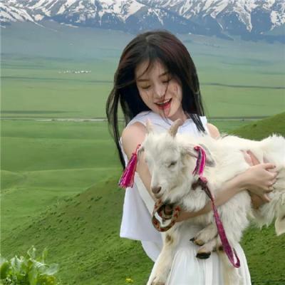 大电影之数百亿